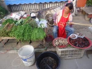Streetfood in Laos