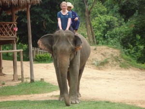 Elefantenreiten in Laos