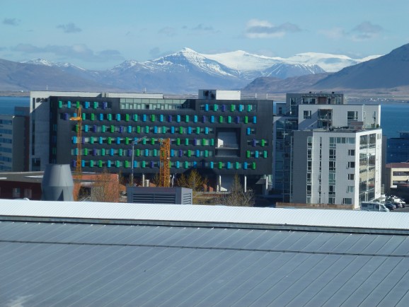 Reykjavík View