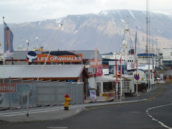 Reykjavík Hafen
