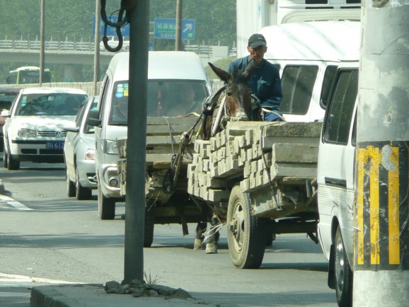 Pferdewagen auf den Straßen von Peking