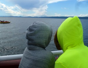 Whale Watching in Tadoussac, Québec