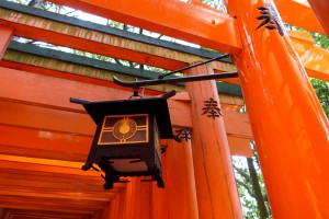 Torii Fushimi Inari Taisha