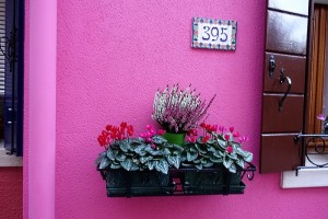 Burano: pink waa with flowers