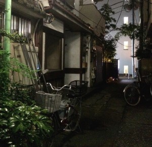 Tokyo Back Streets