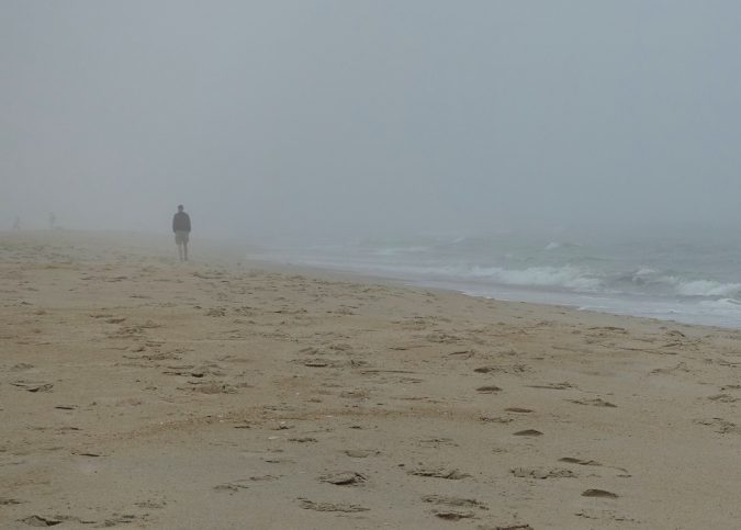 Assateague Island