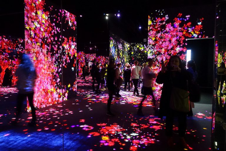 Pop, Immersion und Kunst in Tokio mit Yayoi Kusama, teamLab