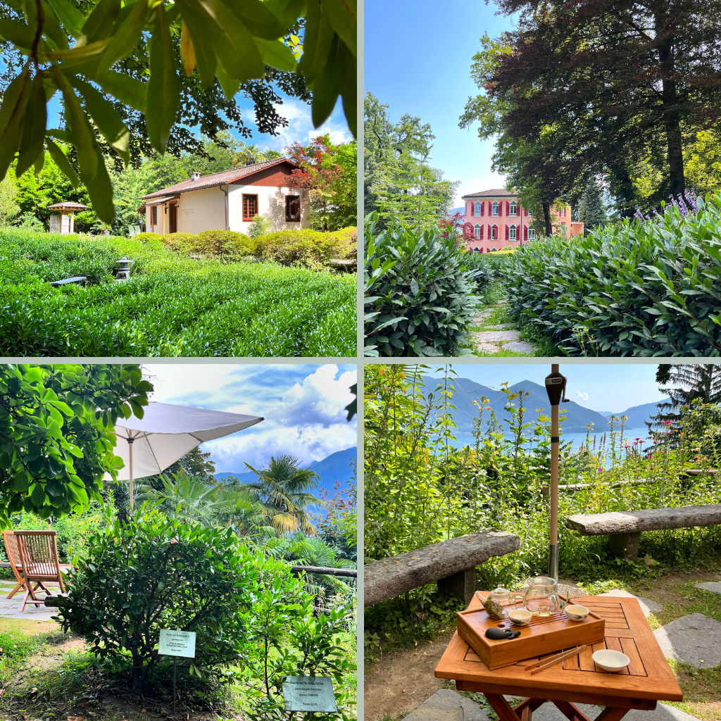 Die Casa del Tè: ein Teegarten mit Teehaus auf dem Monte Verità im Tessin