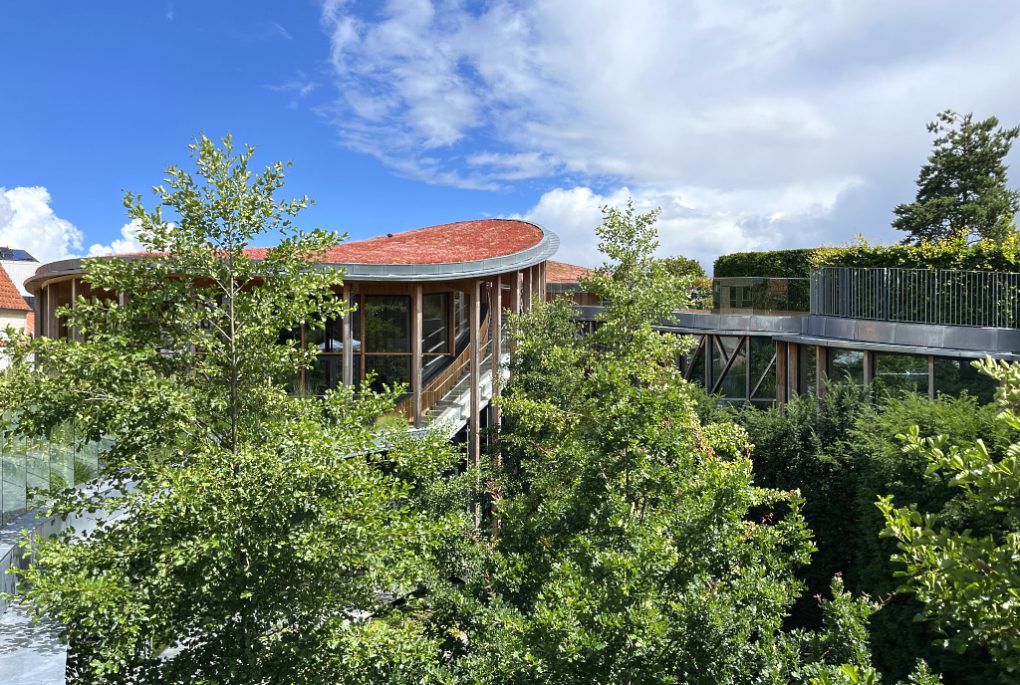 Dänisches Design in Aarhus und Odense